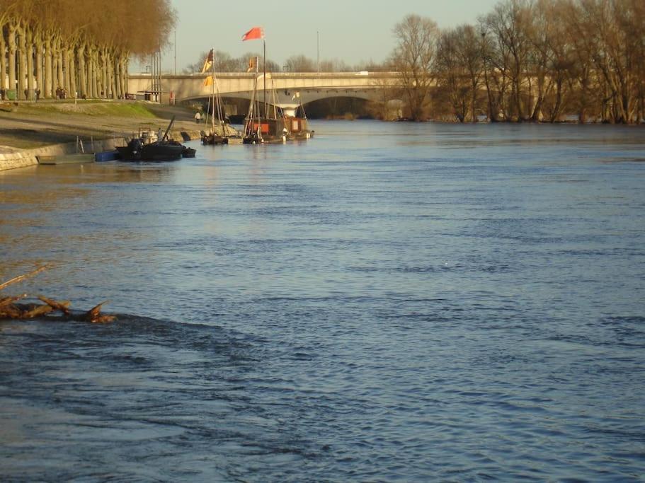 Appart Gite Les Oiseaux- Face Loire Quai Du Chatelet Orleans Ngoại thất bức ảnh